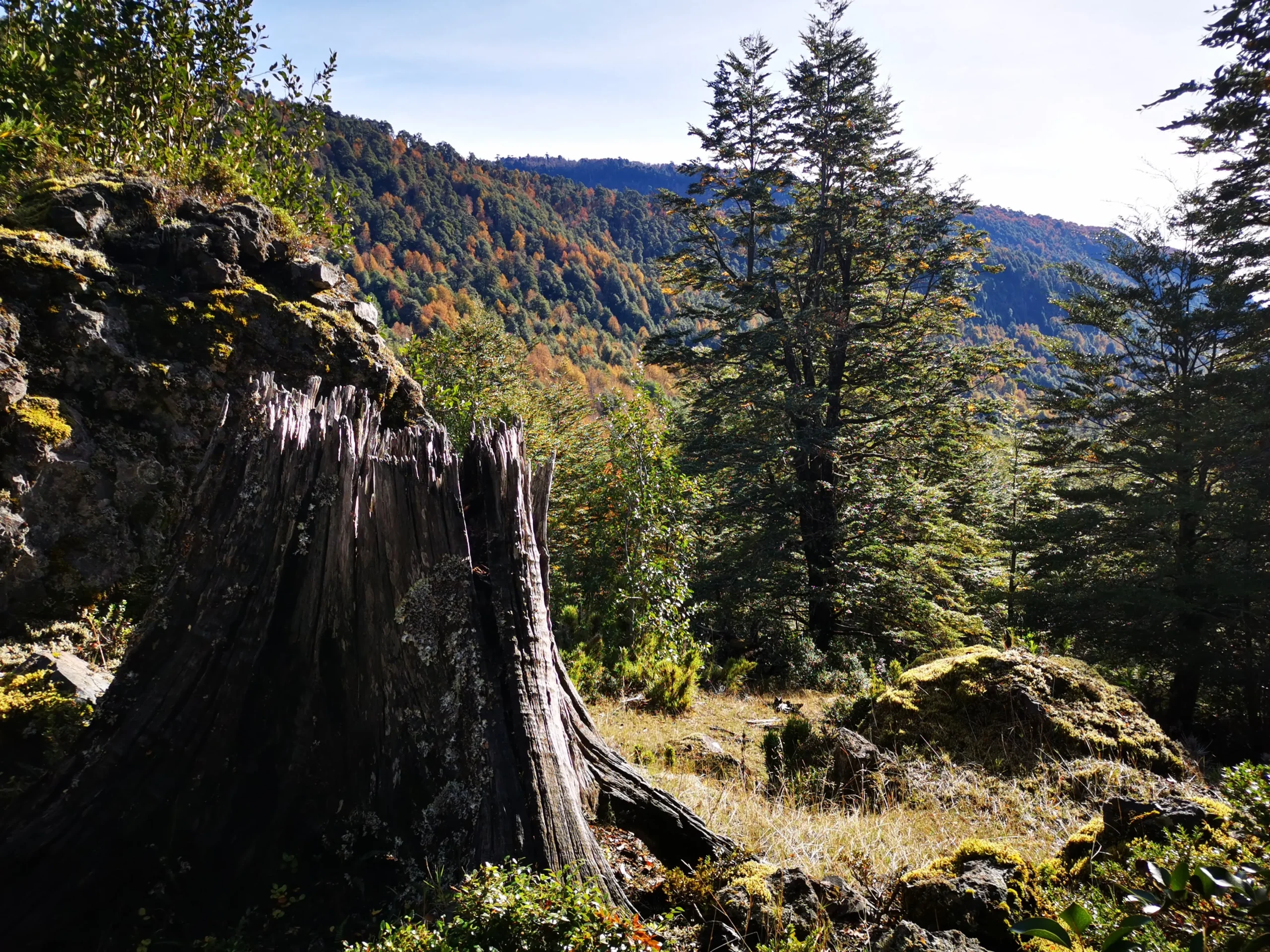 Rinconada de Pucón