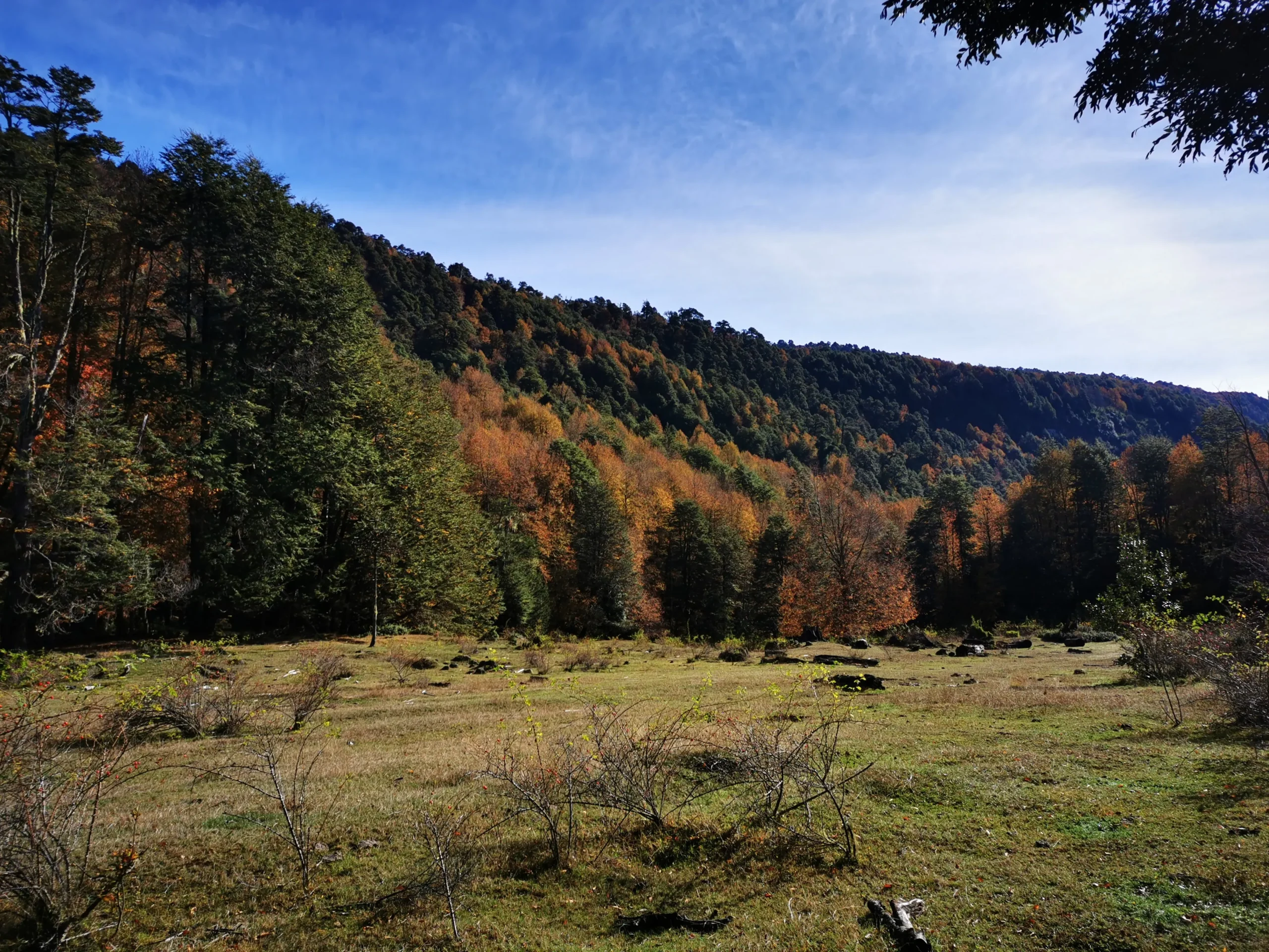 Rinconada de Pucón