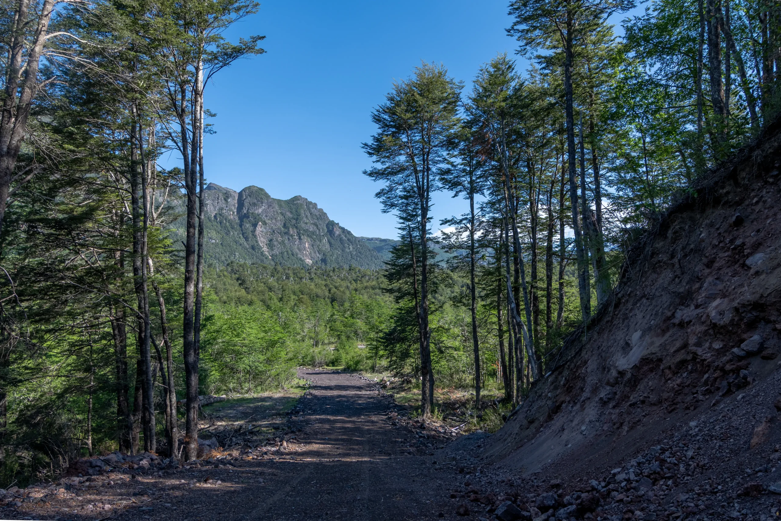 Rinconada de Pucón